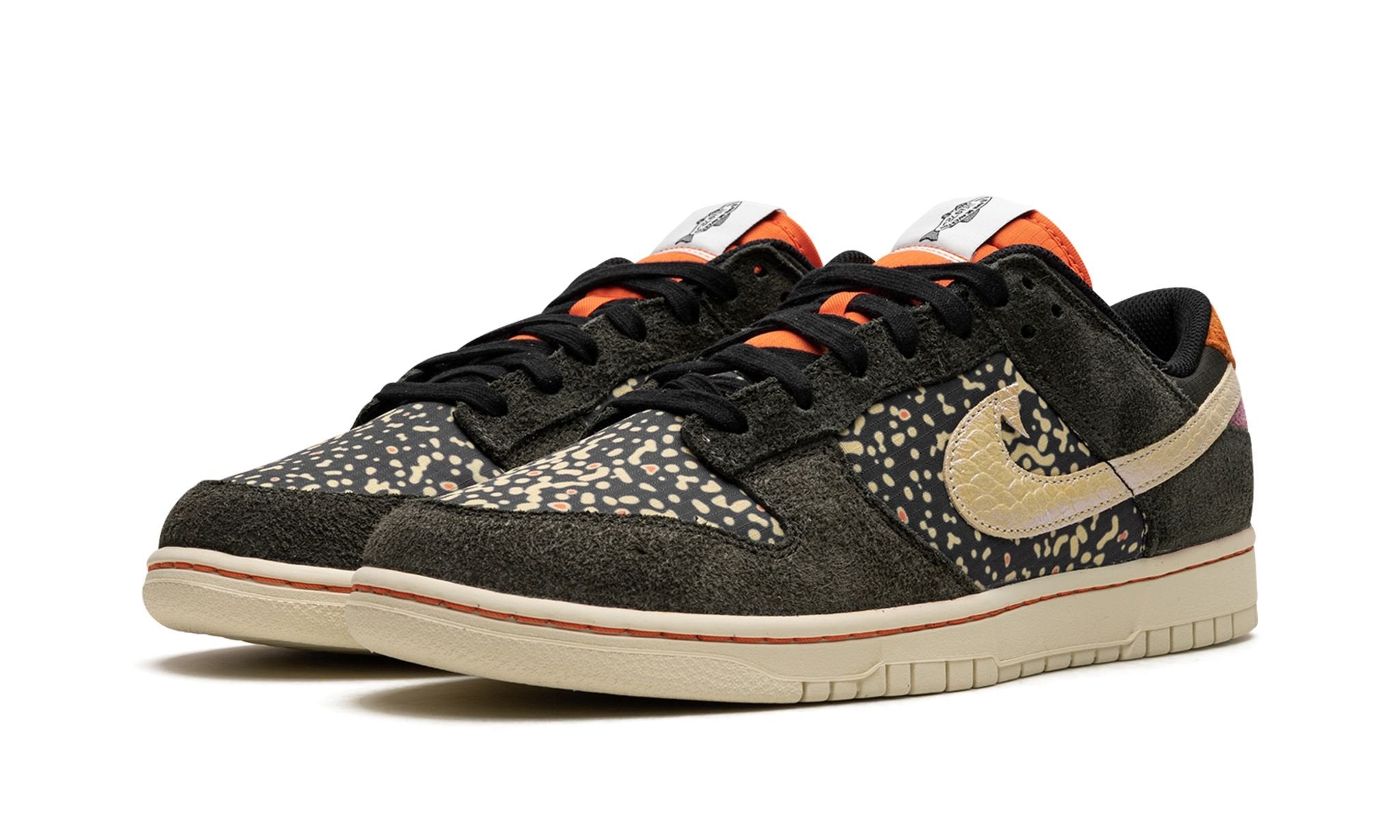 Dunk Low Rainbow Trout