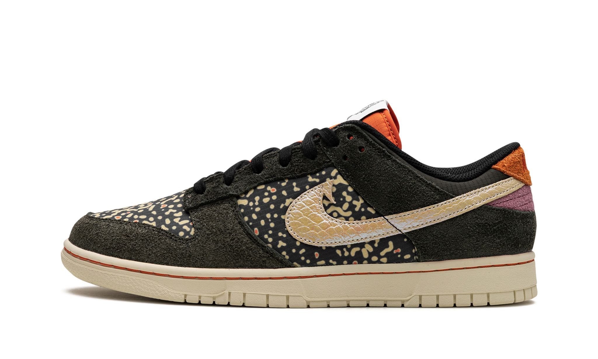 Dunk Low Rainbow Trout
