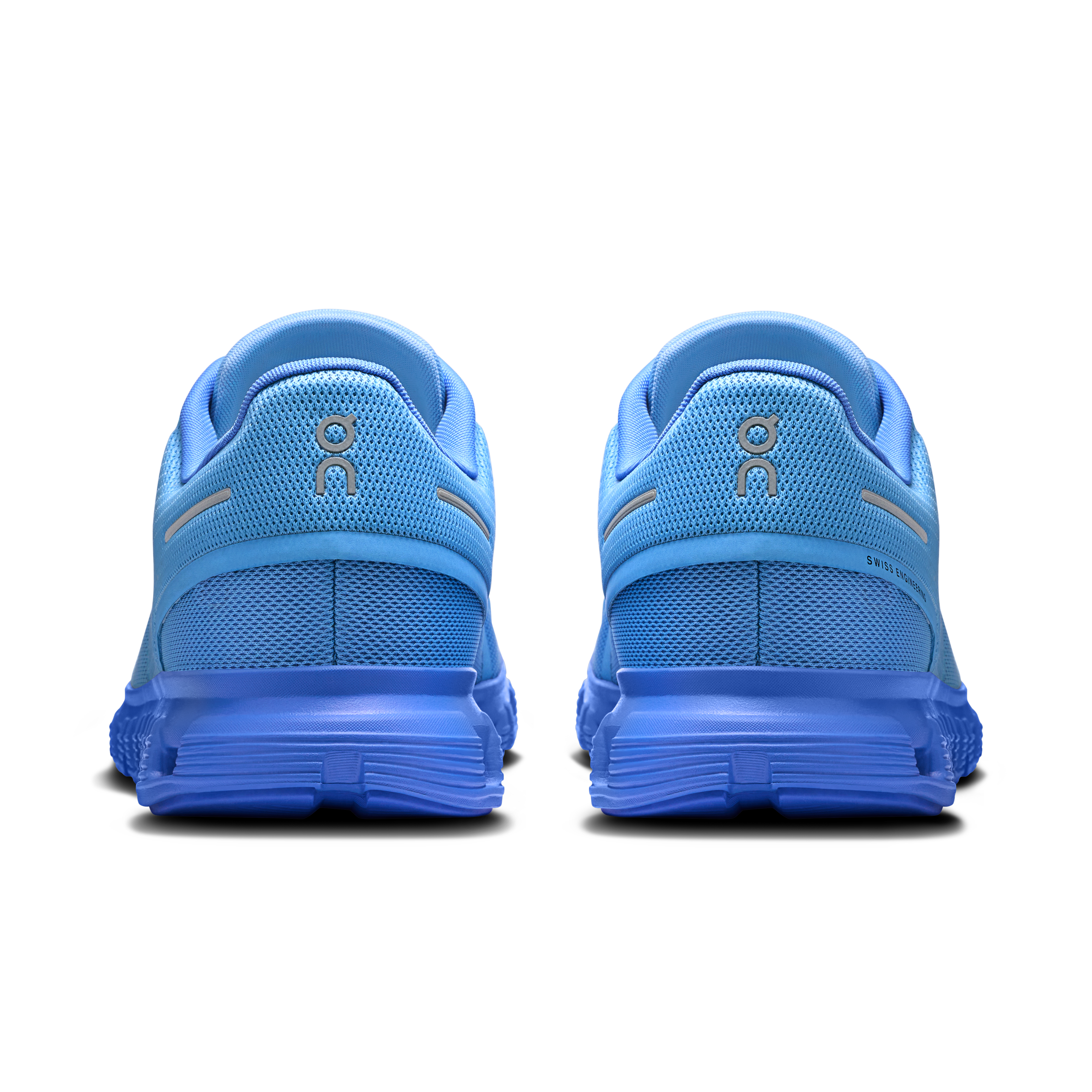 Cloud 6 SHF 1 M Gourami | Pier