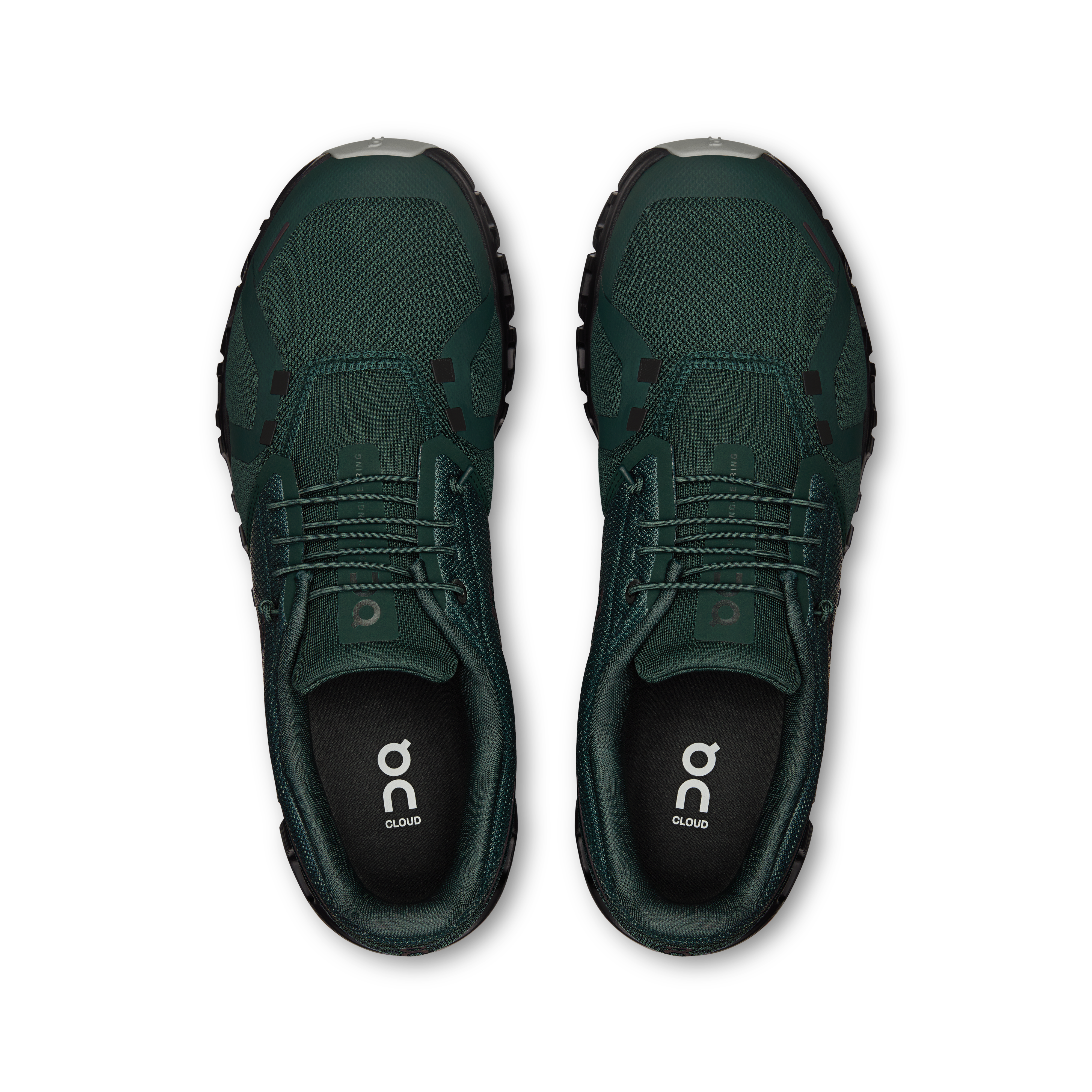 Cloud 6 M Evergreen | Glacier