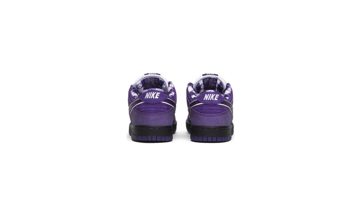 Concepts x Dunk Low SB 'Purple Lobster' Special Box