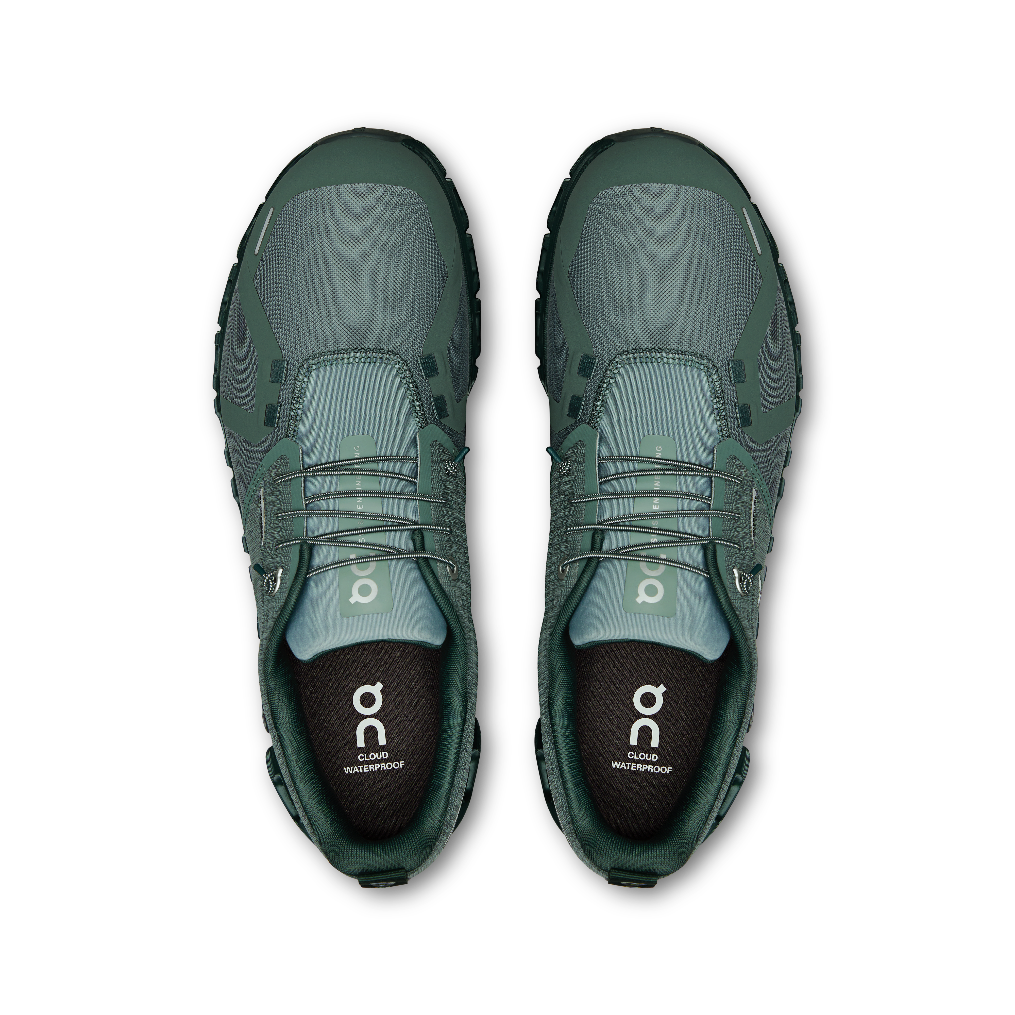 Cloud 6 WP M Olive | Evergreen