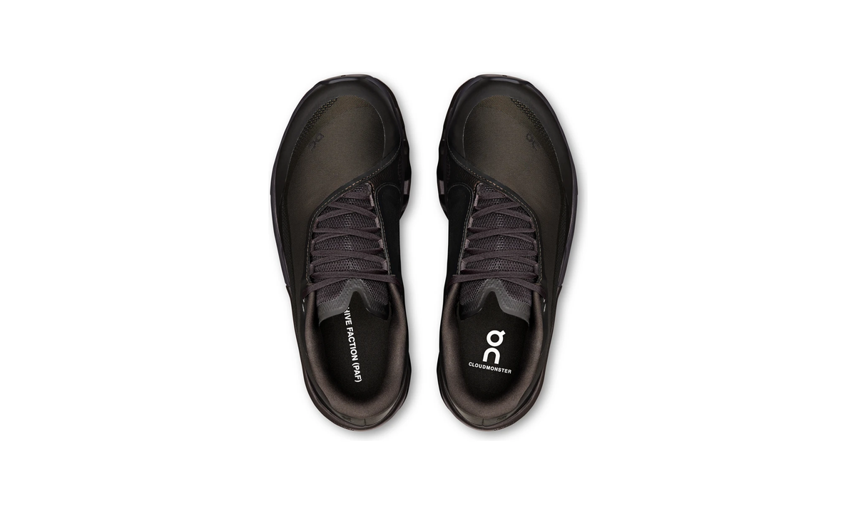 Cloudmonster 2 PAF 1 W Thorn | Brown