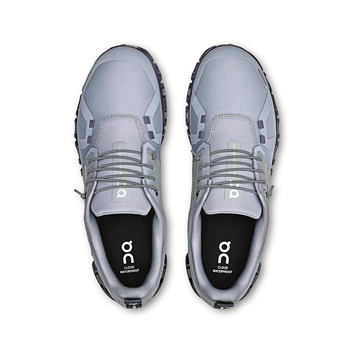 Cloud 6 WP M Alloy | Wolf