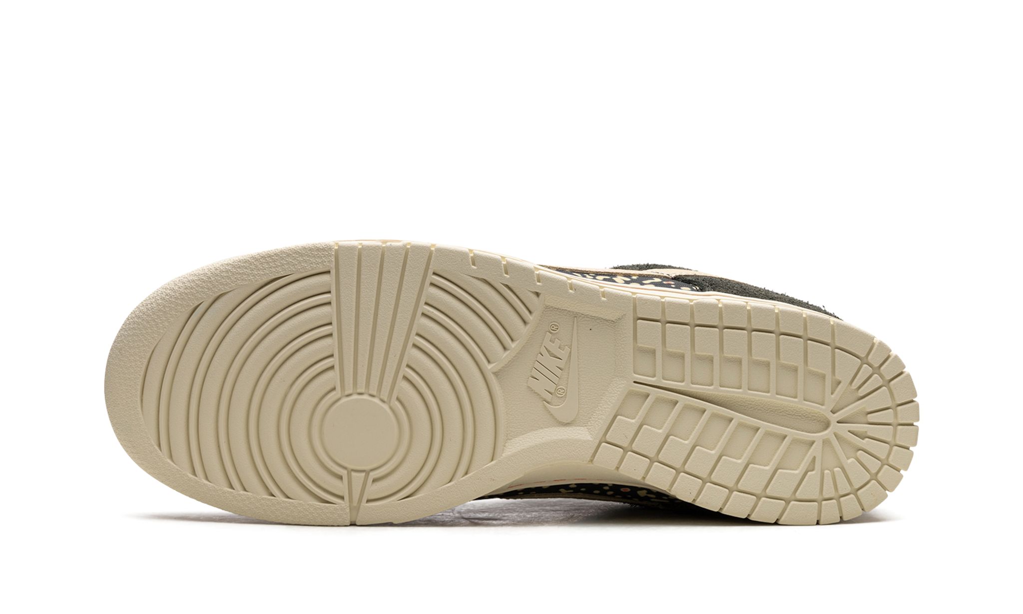 Dunk Low Rainbow Trout