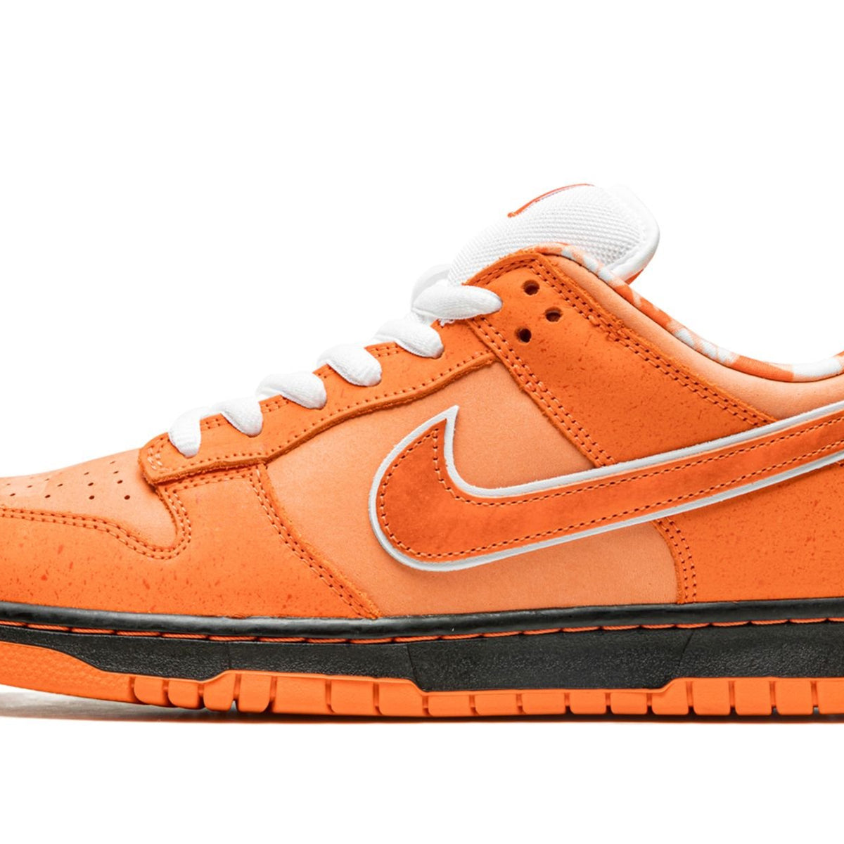 nike-sb-dunk-low-concepts- 