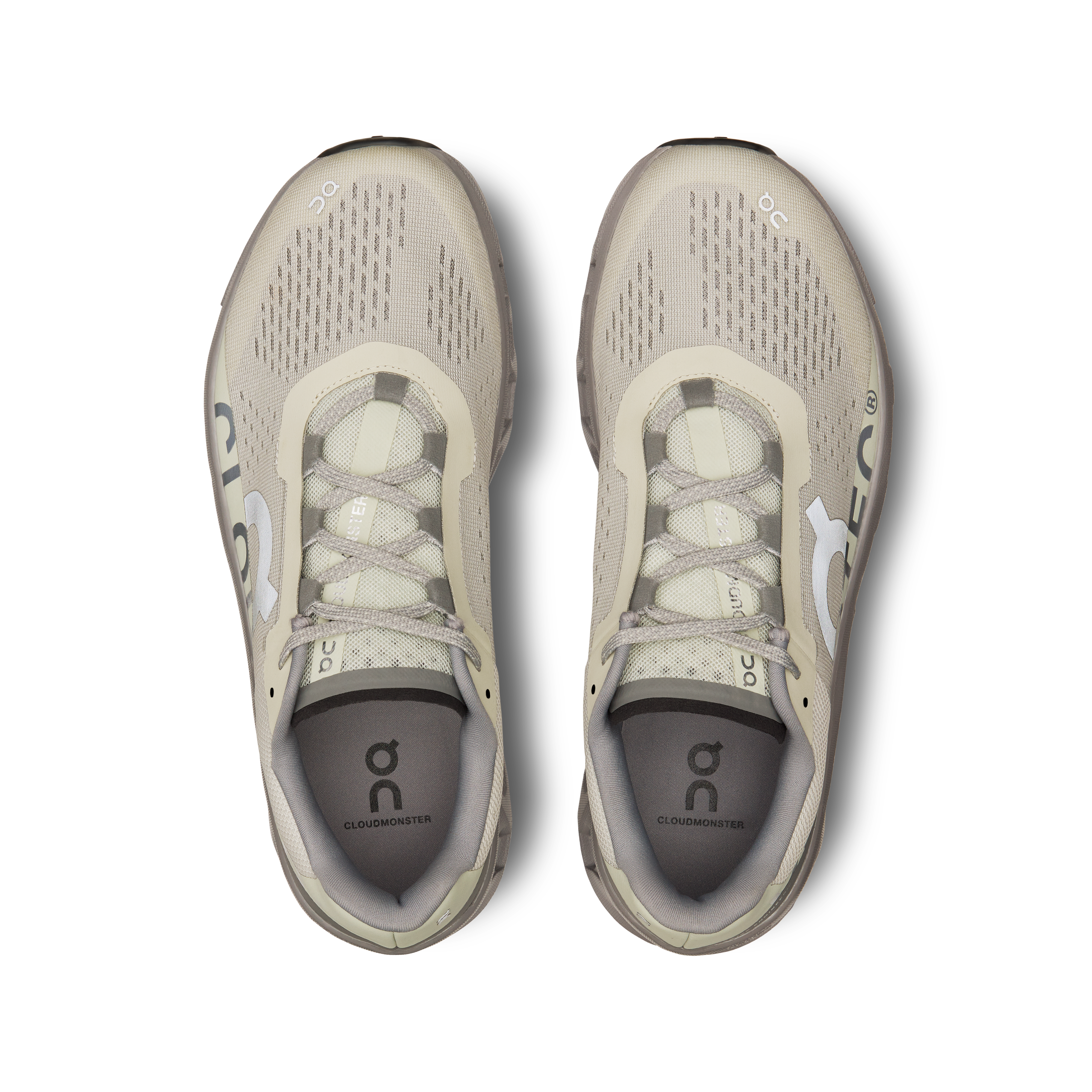 On Running Cloudmonster Ice Alloy